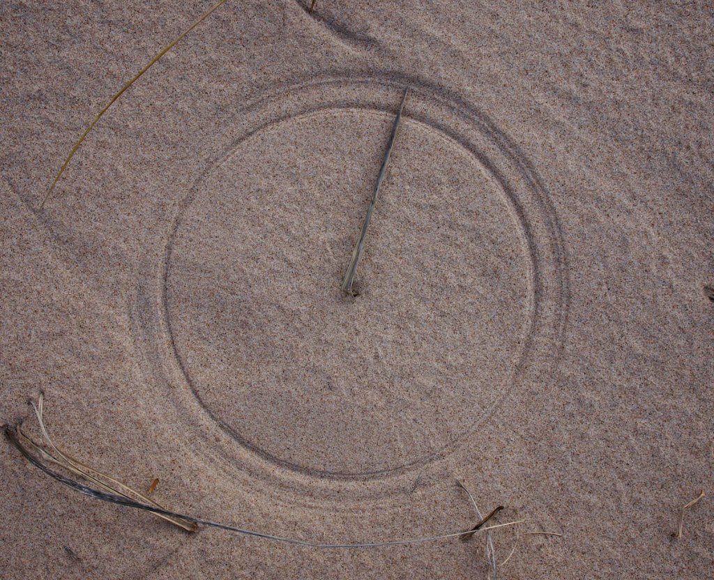 Picture of the Day: Windswept Grass Makes Perfect Circle in Sand