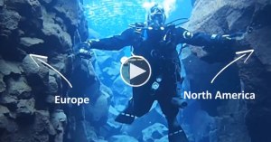 swimming between two continents facebook video swimming between two continents facebook video