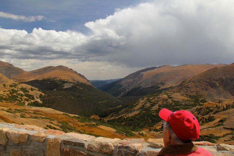 90-Year-Old Woman Chooses Epic Road Trip With Family Over Cancer ...