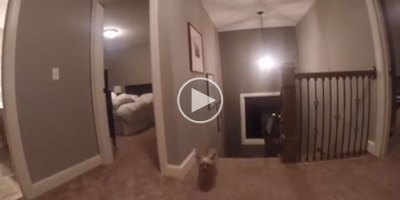 Dad Gives Son a GoPro During a Game of Hide and Seek and Discovers His Secret Weapon