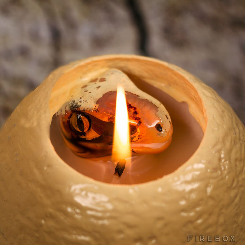 hatching dinosaur candle (2)