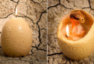 Hatching Dinosaur Candle Reveals Baby Raptor You Can Keep