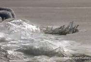 Lake Superior Ice Sheets Crashing Ashore Look Like Endless Shards of Glass