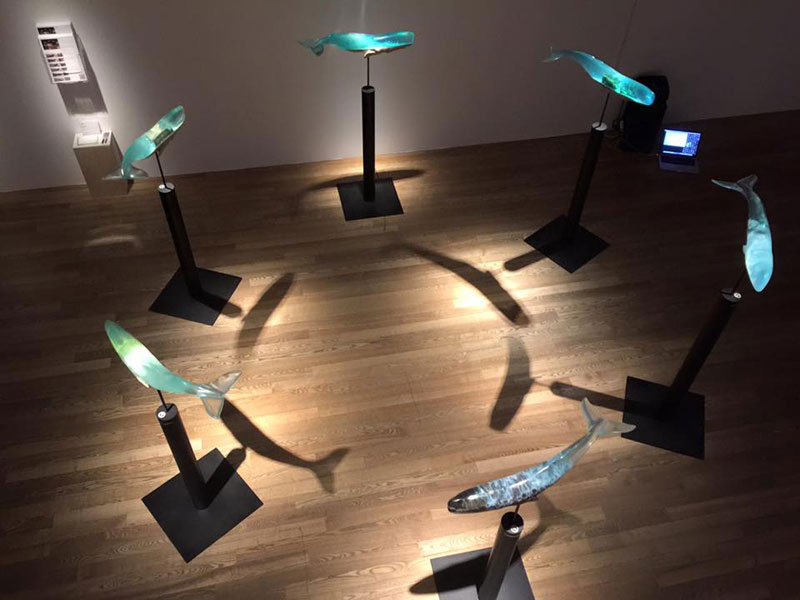 Translucent Whale Sculptures Show the Ocean Life Within by Isana Yamada (11)