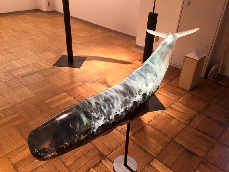 Translucent Whale Sculptures Show the Ocean Life Within by Isana Yamada (12)