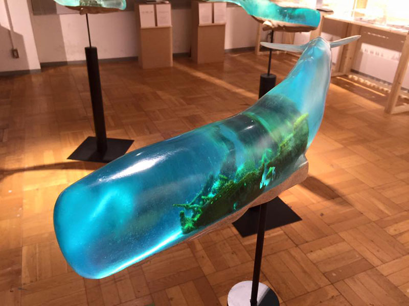 Translucent Whale Sculptures Show the Ocean Life Within by Isana Yamada (15)