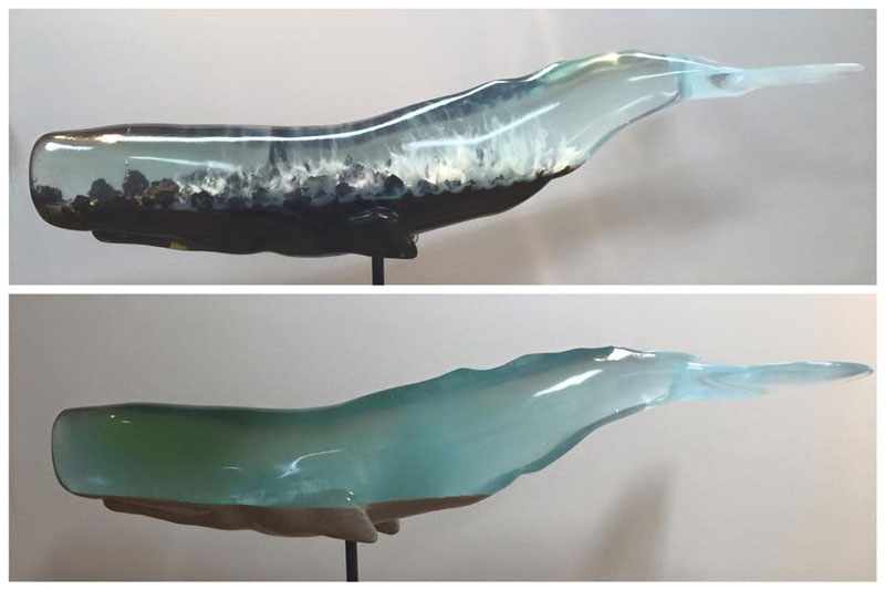 Translucent Whale Sculptures Show the Ocean Life Within by Isana Yamada (7)