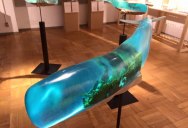Translucent Whale Sculptures That Show the Ocean Life Within