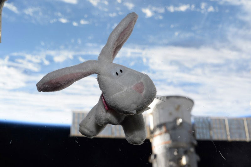 happy easter from space scott kelly iss bunny rabbit Picture of the Day: Happy Easter from Space