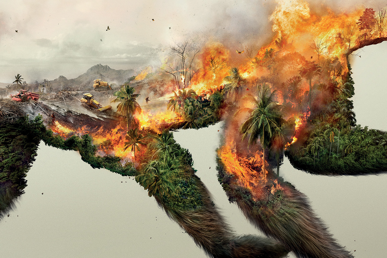 Powerful Illustrations That Show Destroying Nature Destroys Life