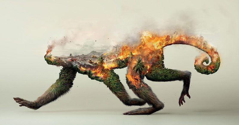 Powerful Illustrations That Show Destroying Nature Destroys Life
