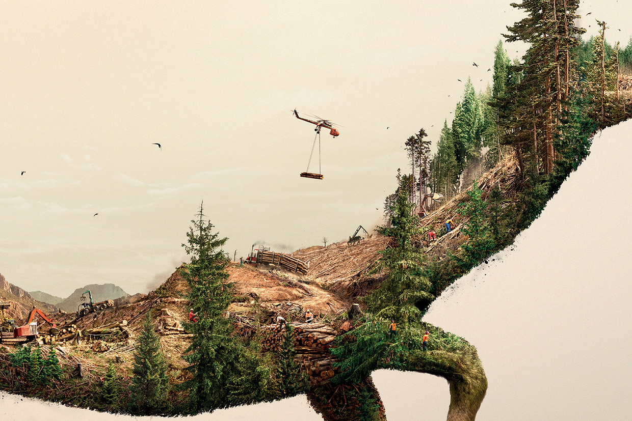 Illustrations Show How Destroying Nature Destroys Life (7)