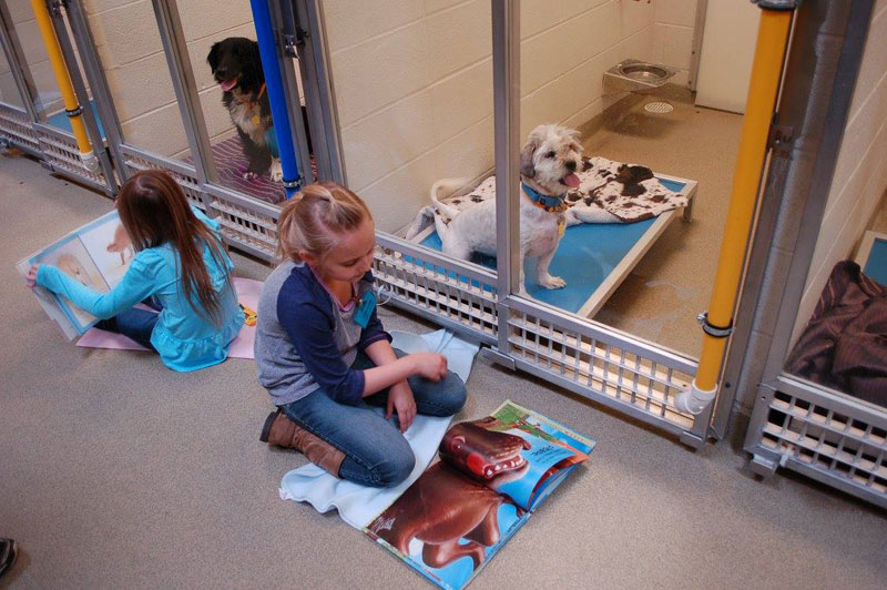 New Program Lets Kids Practice Reading While Shy Shelter Dogs Learn to Socialize (5)