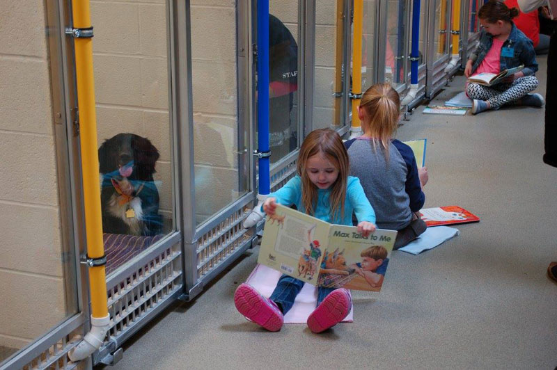 New Program Lets Kids Practice Reading While Shy Shelter Dogs Learn to Socialize (6)