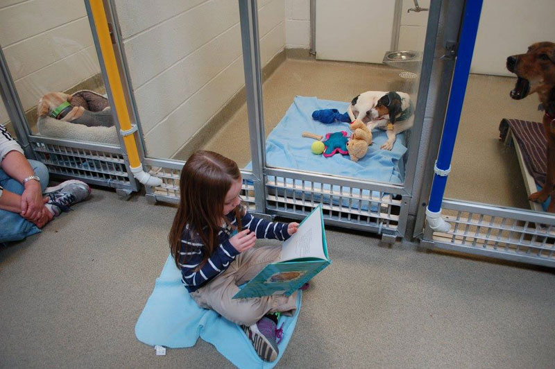 New Program Lets Kids Practice Reading While Shy Shelter Dogs Learn to Socialize (9)