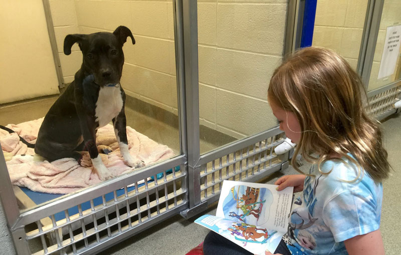 New Program Lets Kids Practice Reading While Shy Shelter Dogs Learn to Socialize