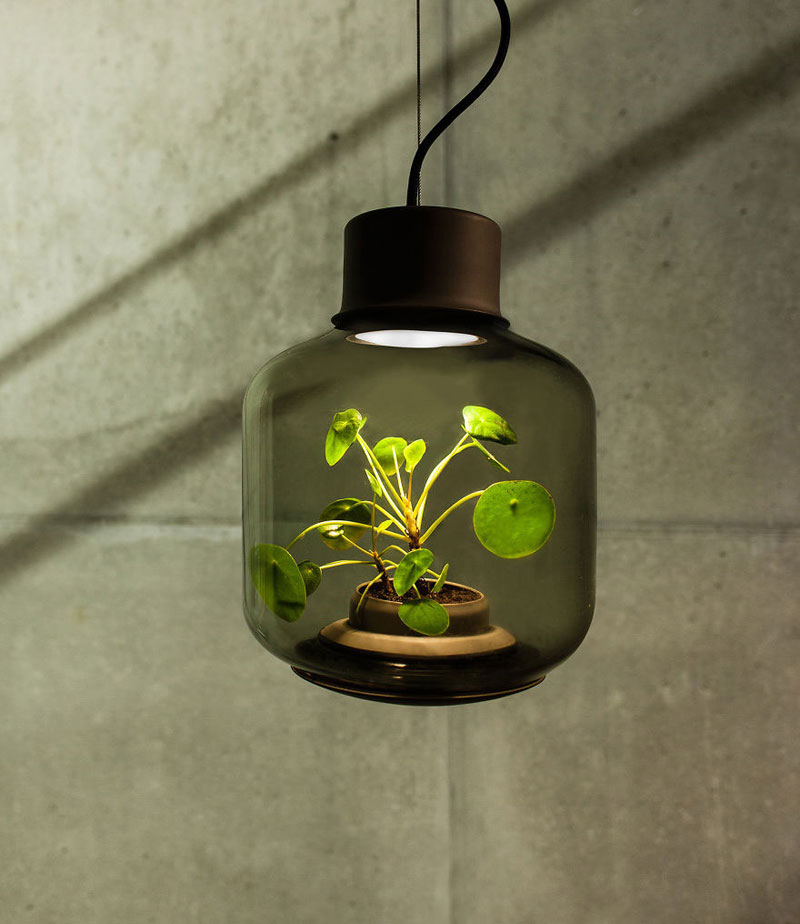 Plant Lamp Can Grow Anywhere and Requires No Human Care studio we love eames (4)