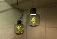 This Plant Lamp Can Grow Anywhere and Requires No Human Care