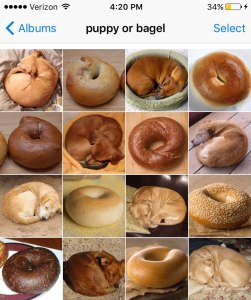 puppy or bagel by karen zack puppy or bagel by karen zack