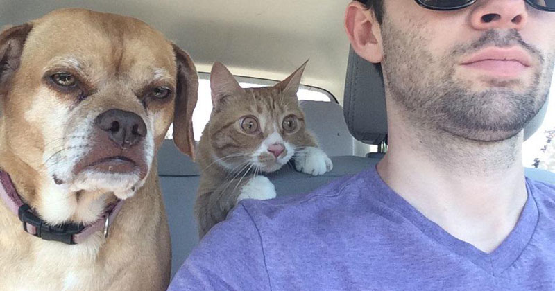 The Shirk Report – Volume 364