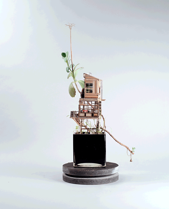 treehouses for house plants by jedediah corwyn voltz (1)