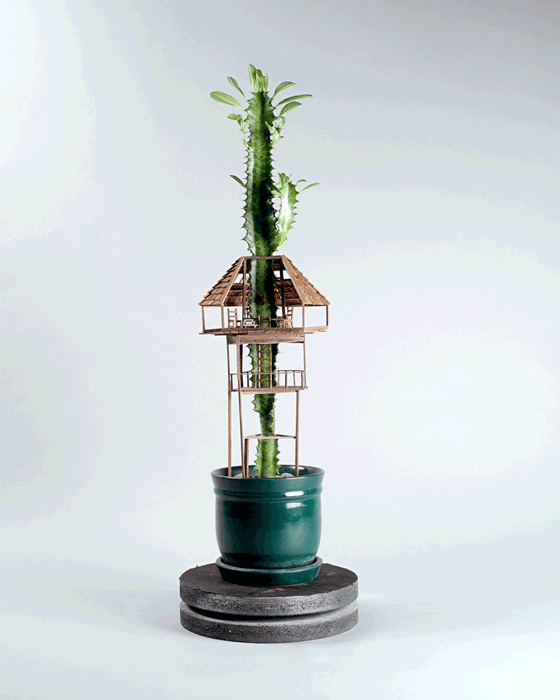 treehouses for house plants by jedediah corwyn voltz (2)