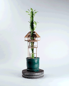 treehouses for house plants by jedediah corwyn voltz 2 treehouses for house plants by jedediah corwyn voltz (2)