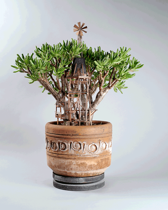 treehouses for house plants by jedediah corwyn voltz (3)