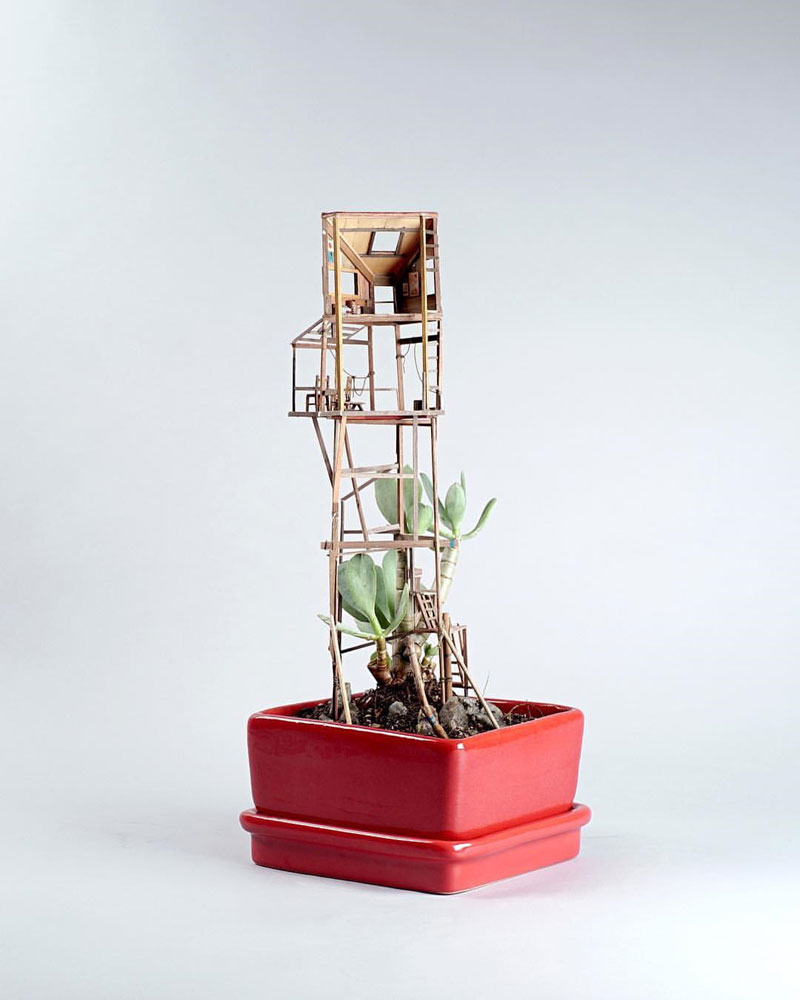 treehouses for house plants by jedediah corwyn voltz (9)