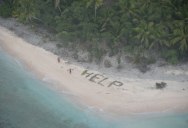 Aircraft Spots HELP Sign on Beach, Rescues 3 Men Stranded on Remote Island