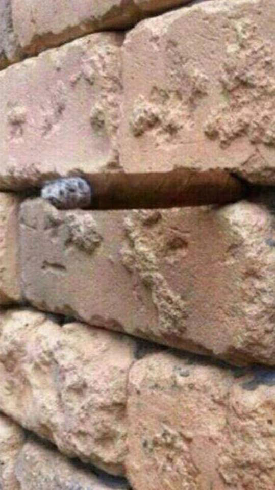 just another brick in the wall illusion (1)