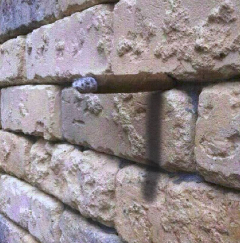 just another brick in the wall illusion (2)