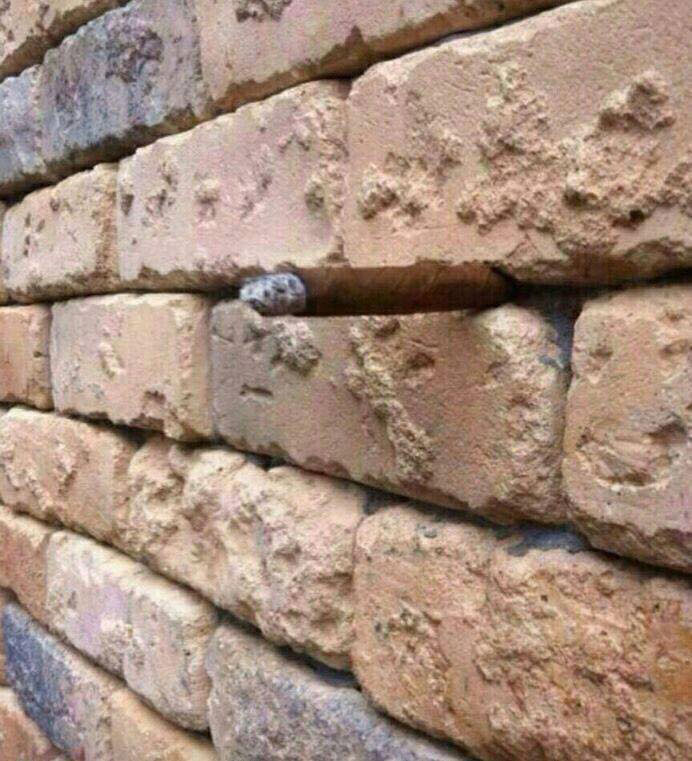 just another brick in the wall illusion (3)