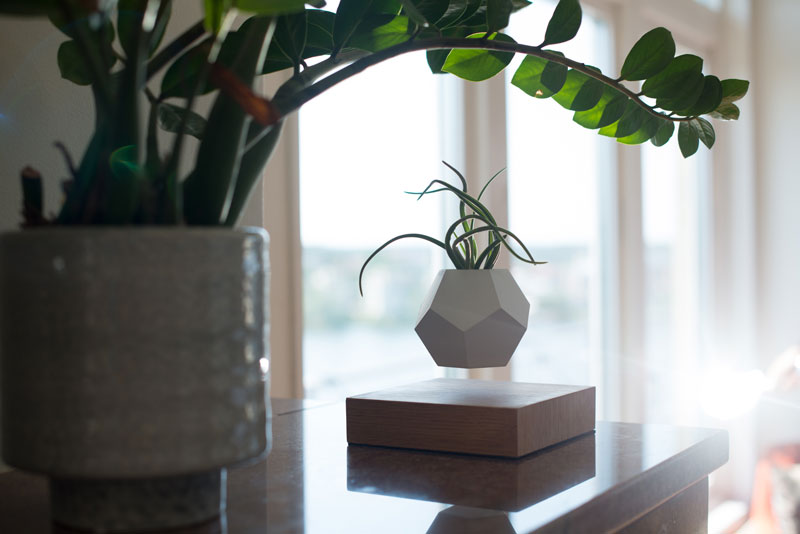 These Floating Pots Let Your House Plants Levitate and Spin » TwistedSifter