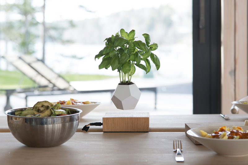 These Floating Pots Let Your House Plants Levitate and Spin