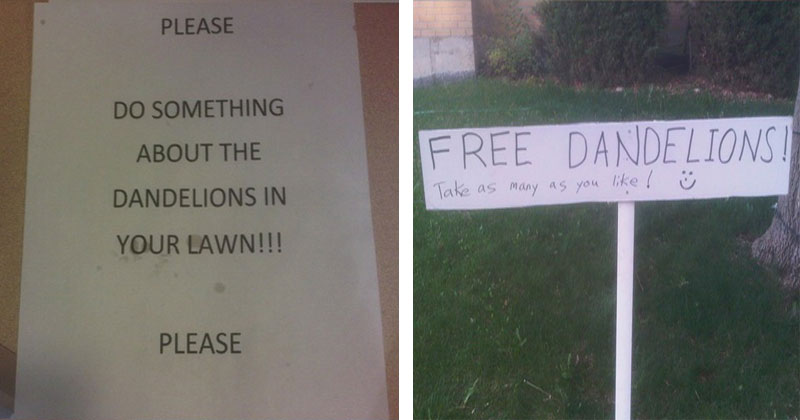 free dandelions sign The Shirk Report – Volume 373