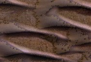 Picture of the Day: Frosted Sand Dunes on Mars