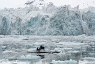 Musician Plays Piano in the Middle of the Arctic as Calving Glaciers Crash Behind Him