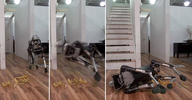 Boston Dynamics Just Made Their Newest Robot Wipe Out on a Banana Peel