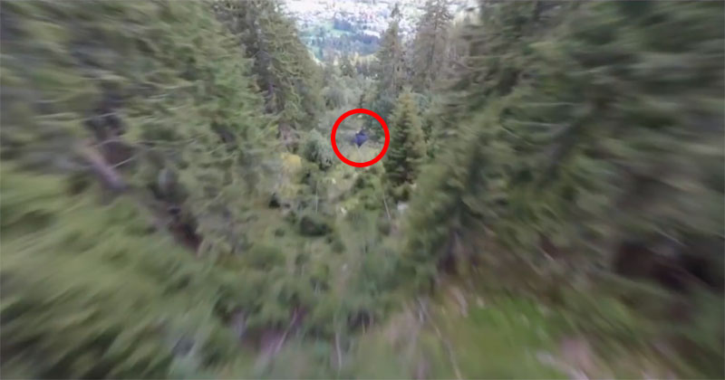 Someone Stabilized This Wingsuit Flight and Somehow Made It Even Crazier