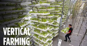 vertical farming intro vertical farming intro