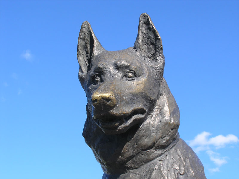 There’s a Statue in Russia Dedicated to the Most Loyal Dog a City Has