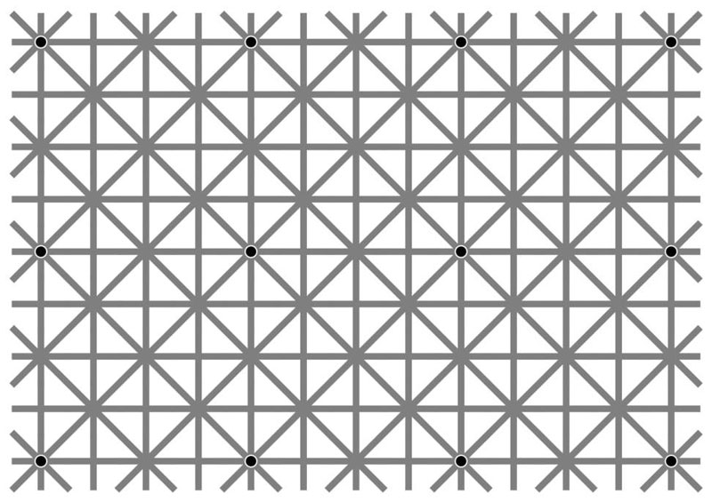 12 dots illusion by jacques ninio There are 12 Dots But You Cant See Them All at Once