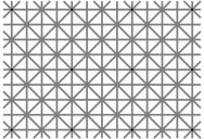 There are 12 Dots But You Can’t See Them All at Once