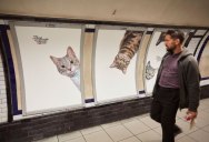 Citizen Campaign to Replace All Ads with Cats Triumphantly Launches in London
