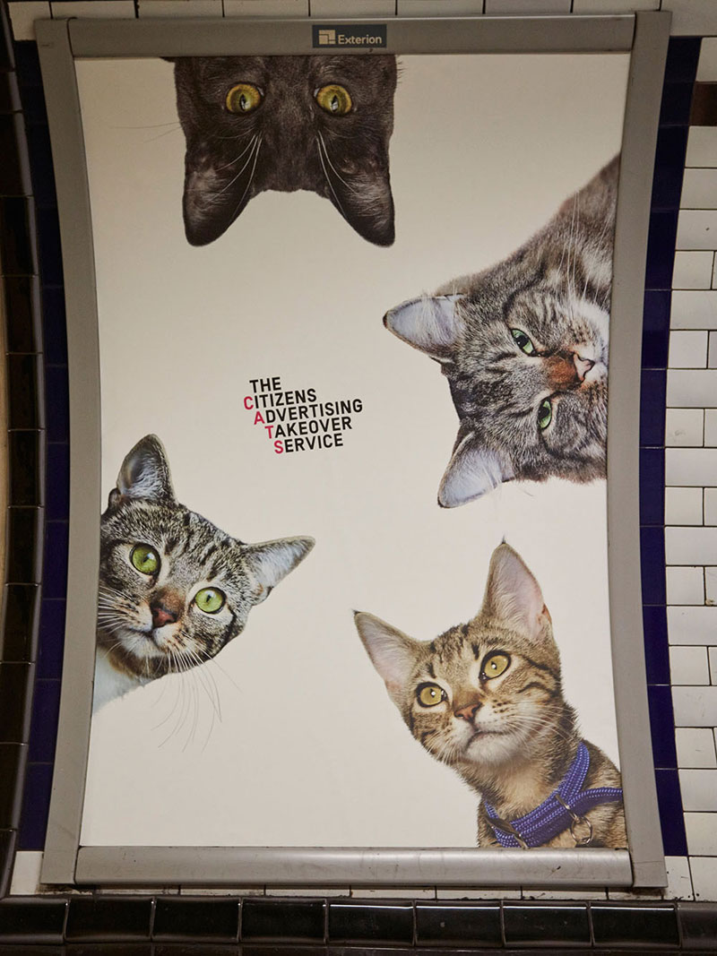 ads replaced with cats in london 8 Citizen Campaign to Replace All Ads with Cats Triumphantly Launches in London