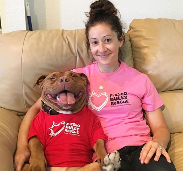 dog cant stop smiling after being adopted meaty the pitbull 1 Dog Cant Stop Smiling After Being Adopted
