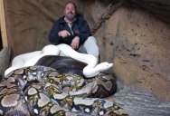 Guy Can’t Stop Laughing at Giant Python Casually Attacking Him