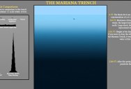 The Depths of the Ocean to Scale (at least what we know of it)