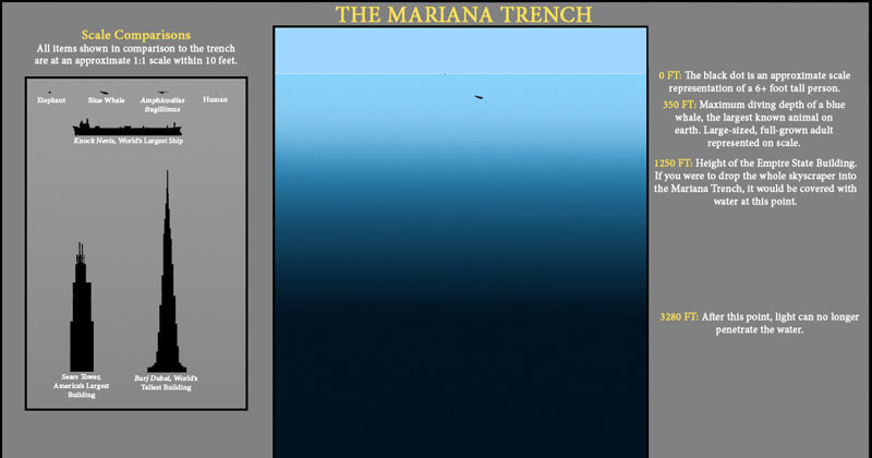 The Depths of the Ocean to Scale (at least what we know of it)